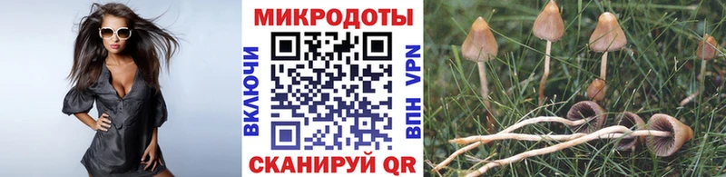 дарк нет телеграм Железногорск-Илимский Галлюциногенные грибы Cubensis
